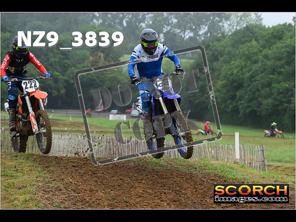 Novice-100