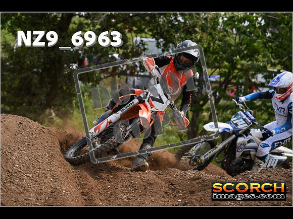 Experts-361