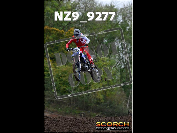 Experts-079
