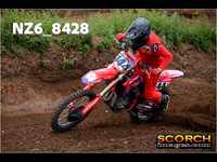 InterGreen-011