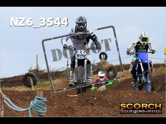 IntersGreen-063