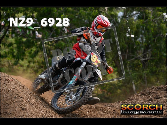 Experts-326