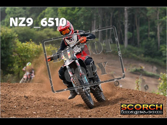 Experts-219
