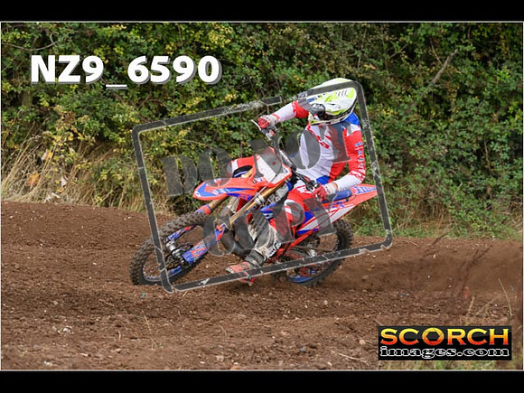 Experts-296