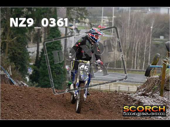 IntersGreenOrange-075