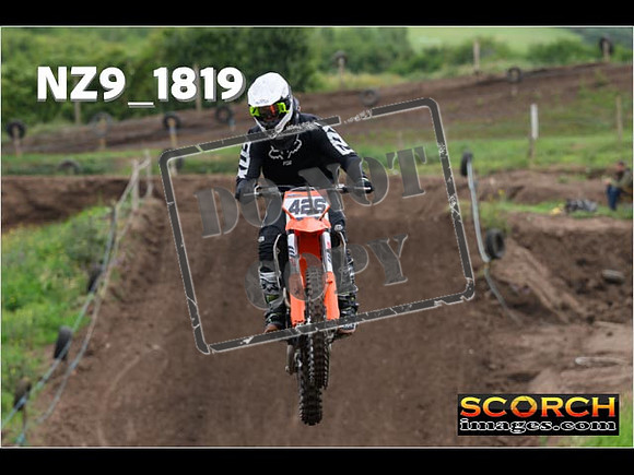 IntersGreenOrange-072