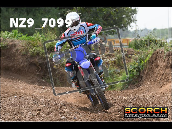 Experts-490
