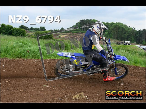 Experts-394