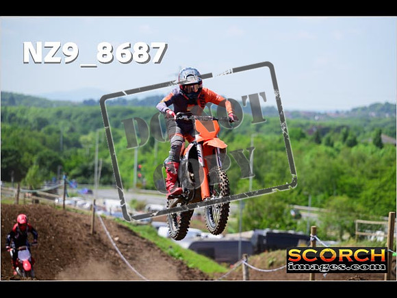 IntersGreenOrange-353
