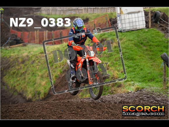 IntersGreenOrange-096