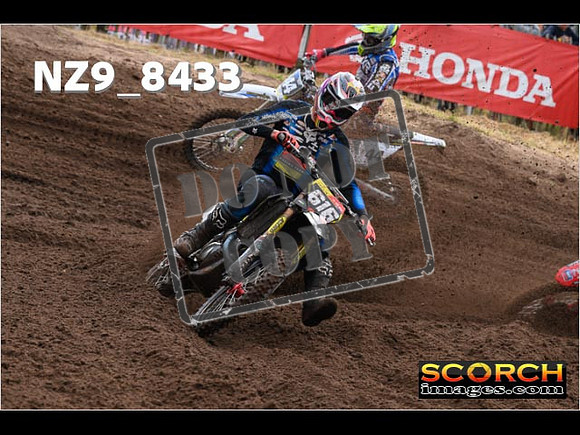 MX2-029