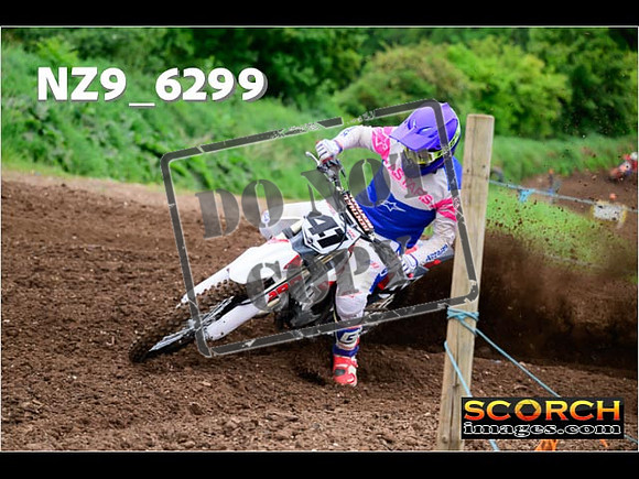 Experts-053