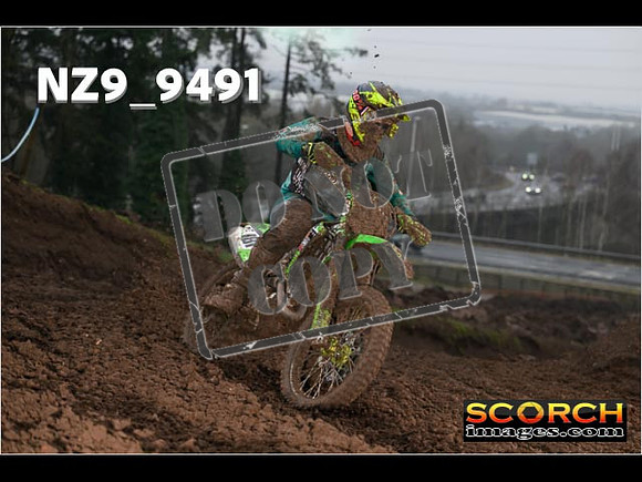 Experts-115