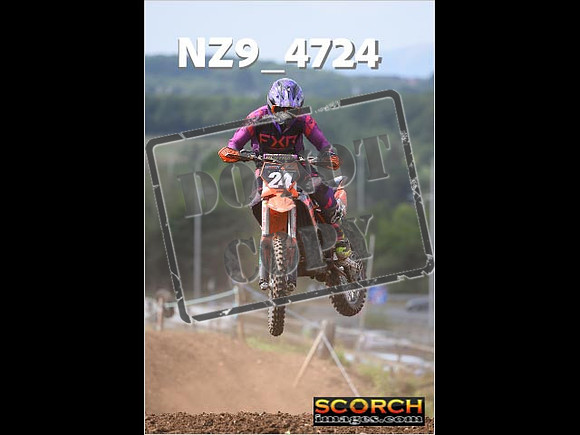 Experts-106