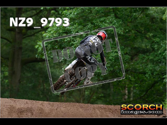 MX1-341