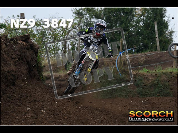Experts-118