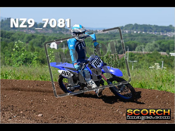 Experts-066