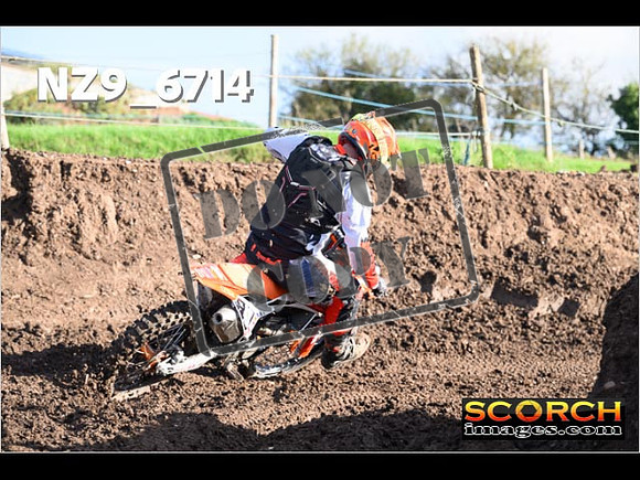 Experts-109