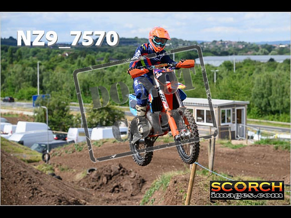 IntersGreenOrange-058