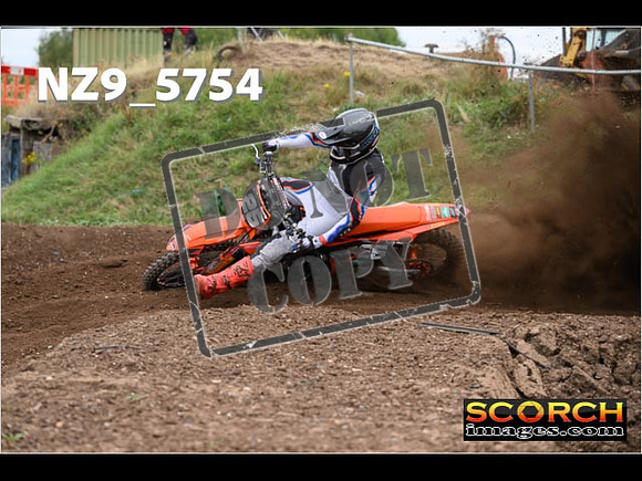 Experts-224