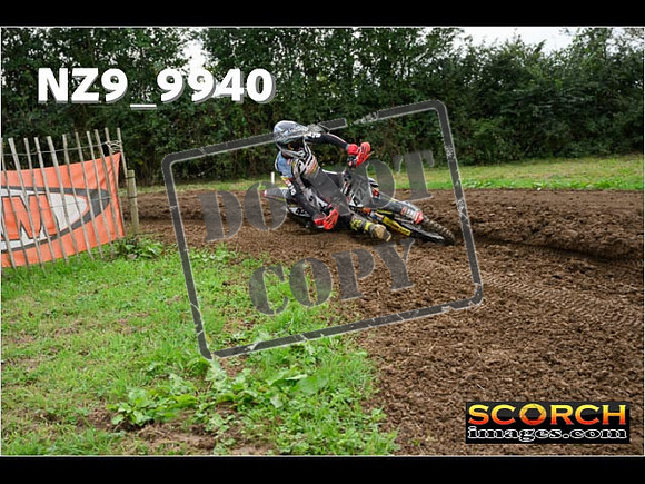 Experts-155