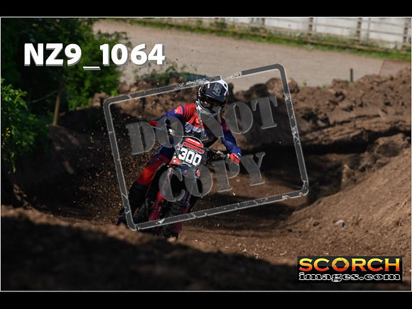 Experts-142