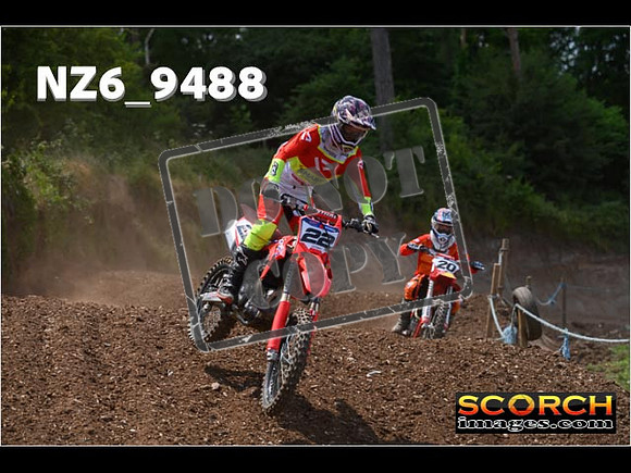 Experts-252