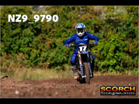 Experts-008