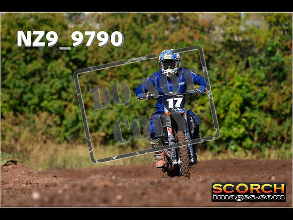Experts-008