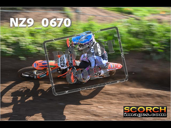 Experts-077