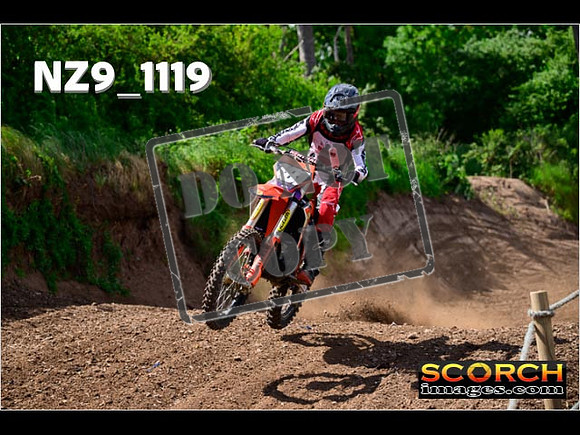 Experts-142