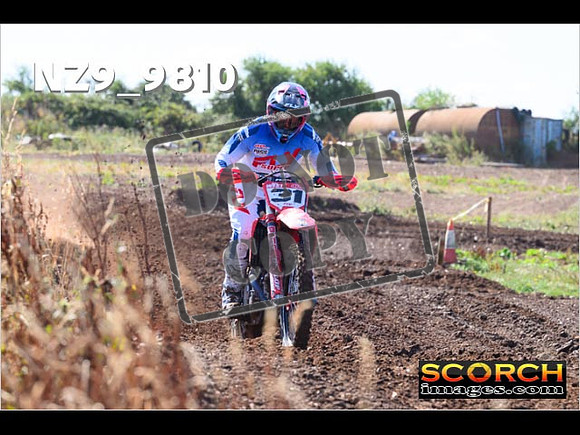 Experts-024