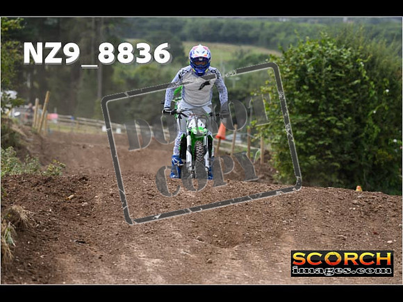 IntersGreen-096