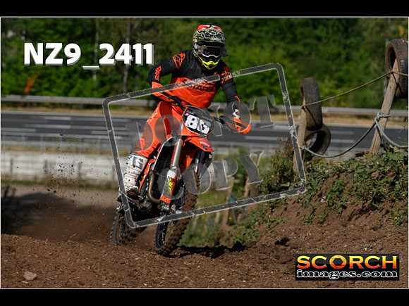 Experts-068