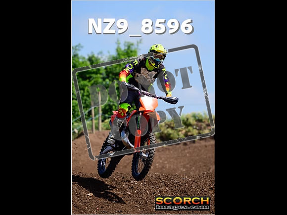 IntersGreenOrange-262