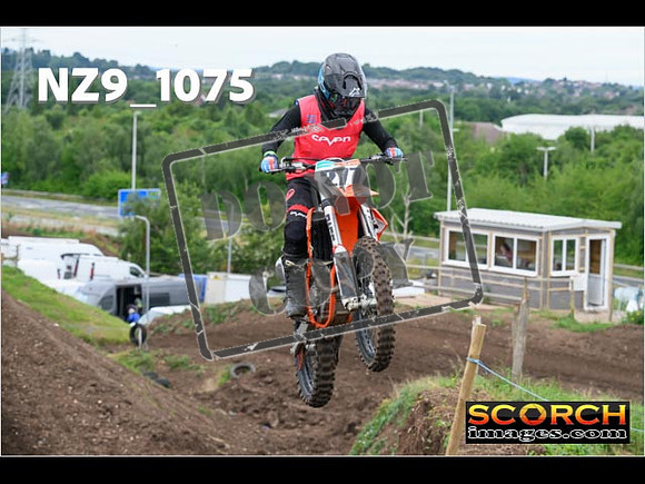 IntersGreen-090
