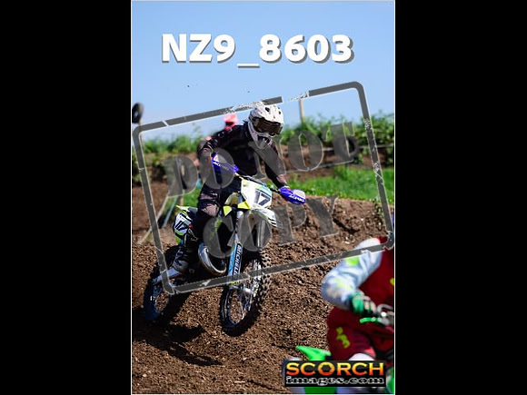 IntersGreenOrange-269