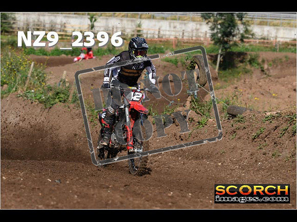 Experts-053