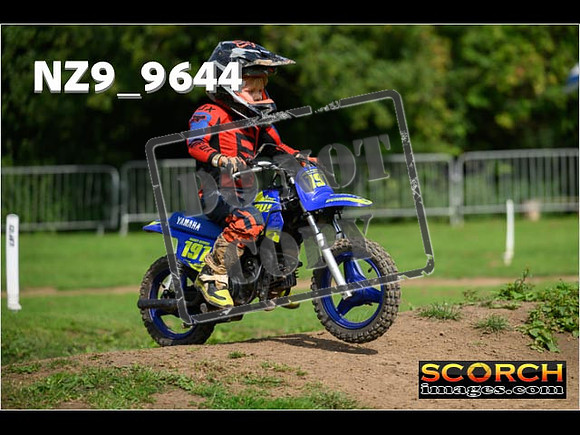 PeeWee Track-13