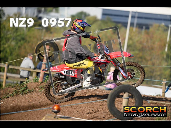 Experts-165