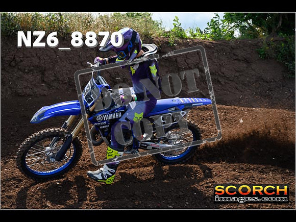 IntersGreen-029
