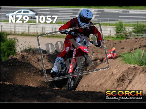Experts-135