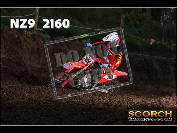 Experts-165
