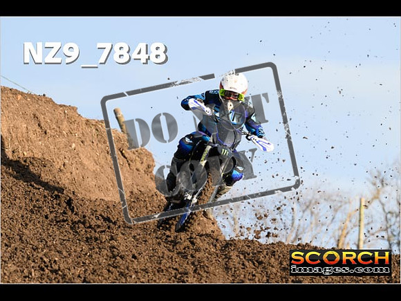 Experts-065