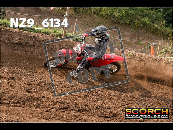 Experts-049