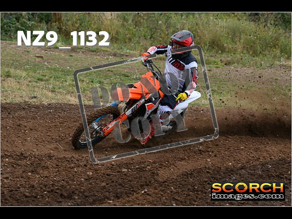 Experts-082