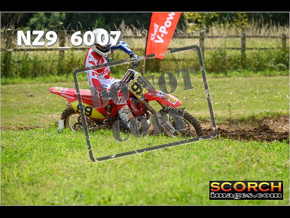 Experts-093