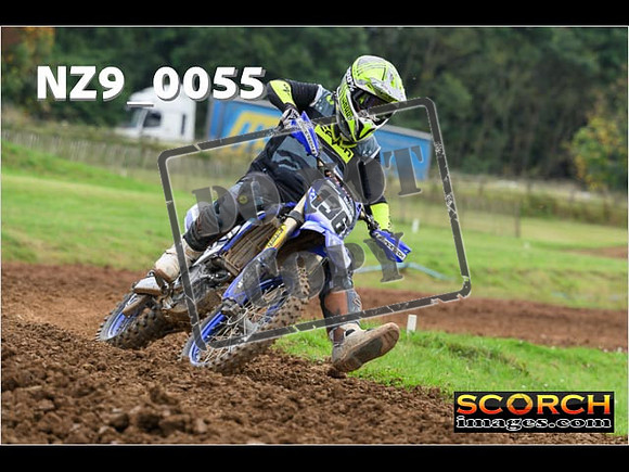Novice-228