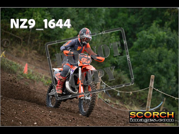 IntersGreenOrange-050
