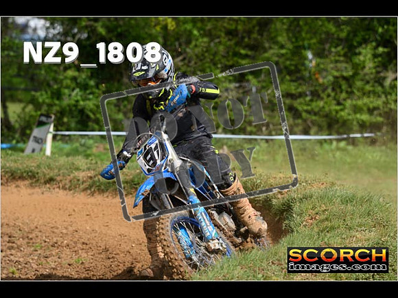 Novice-119